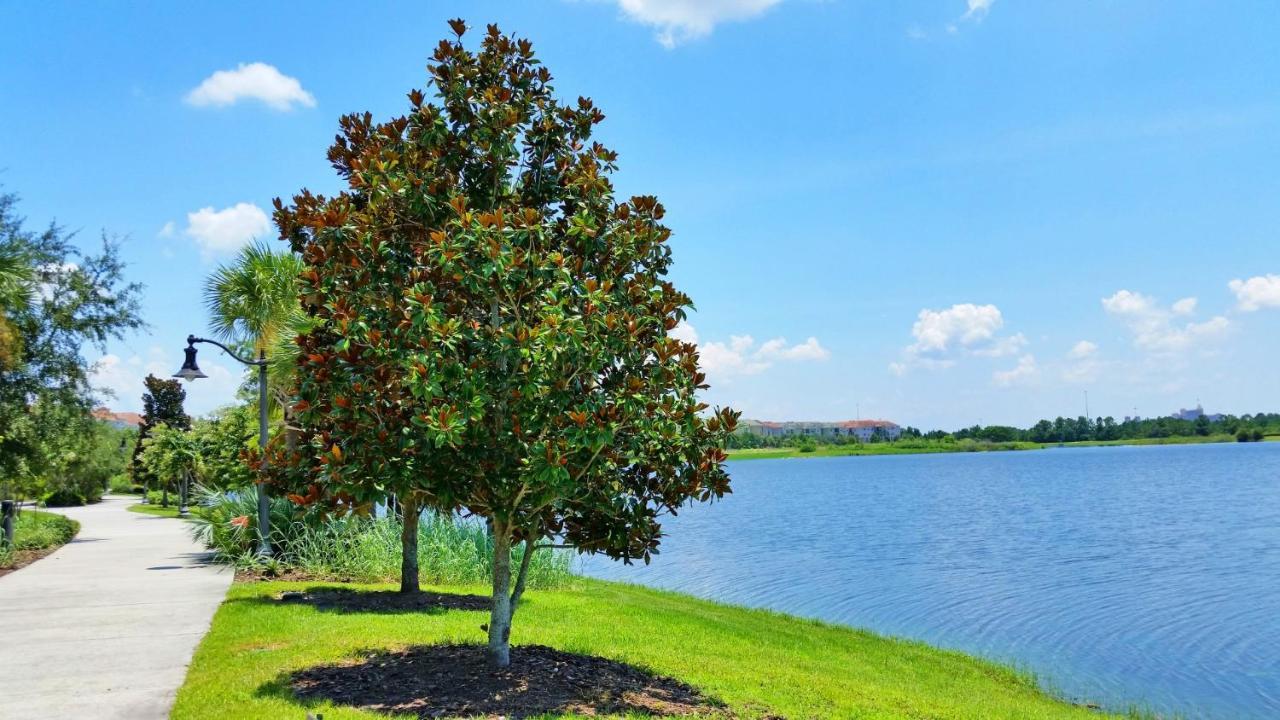 Modern Vista Cay Condo, Near Universal Studios Orlando Zewnętrze zdjęcie